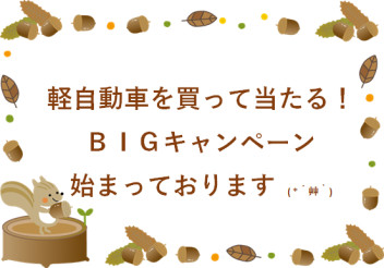 軽自動車を買って当たる！ＢＩＧキャンペーン　( *´艸｀)